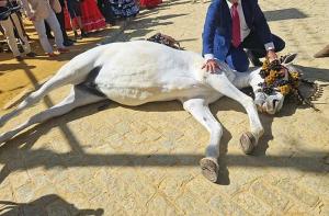 Feria de Abril de Sevilla: un caballo muere por un golpe de calor