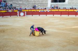 Baleares: PP y Vox cambiarn la ley para permitir la entrada de menores a las corridas de toros