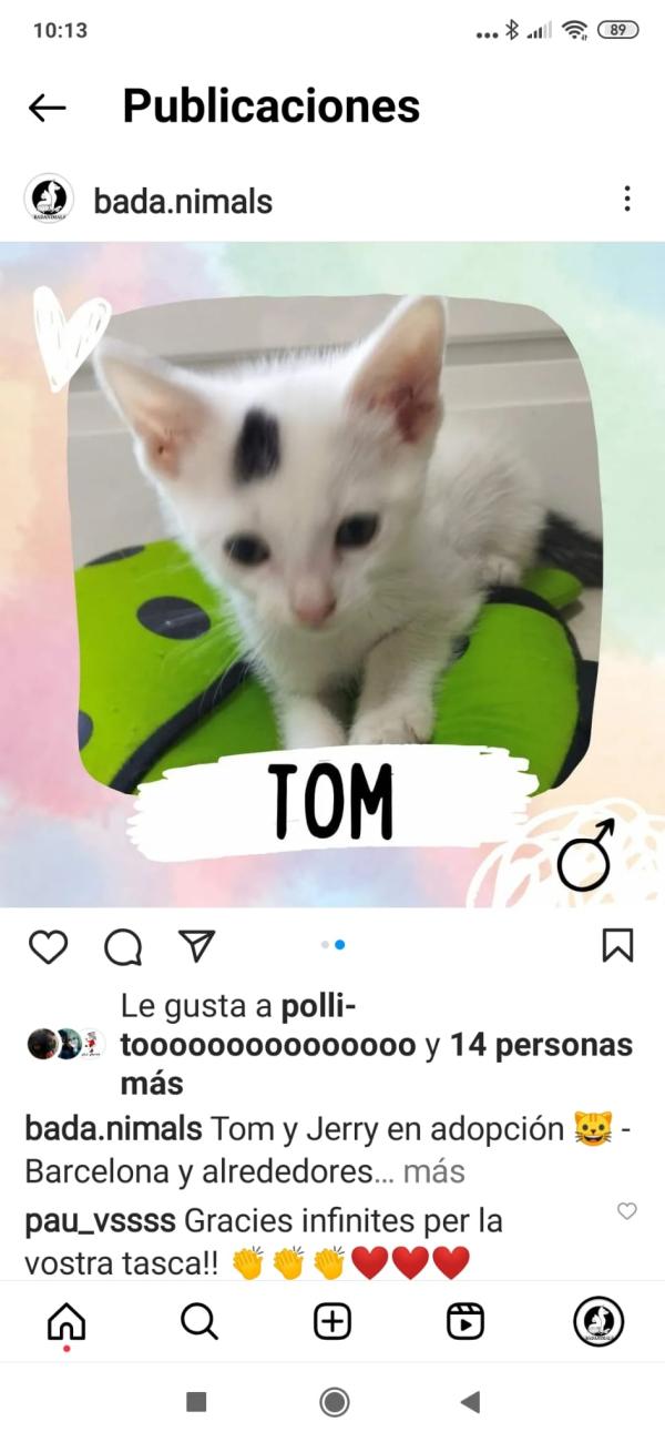 TOM bebé de 2 mesets