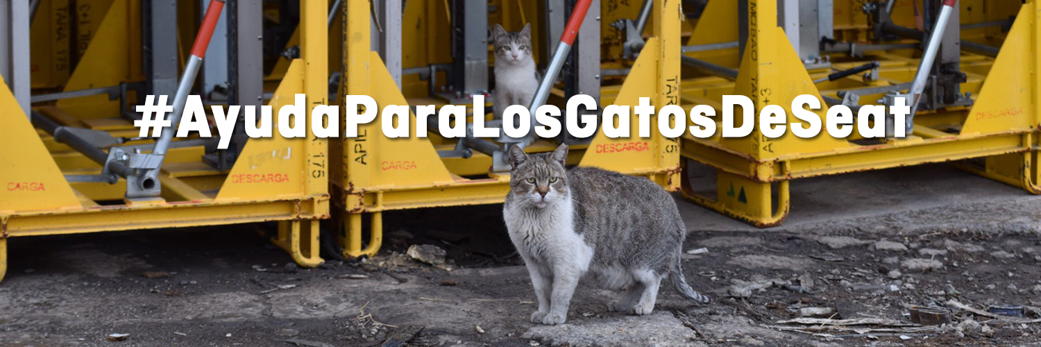 Pide a SEAT que permita la gestión ética de los gatos de su fábrica de zona franca en Barcelona