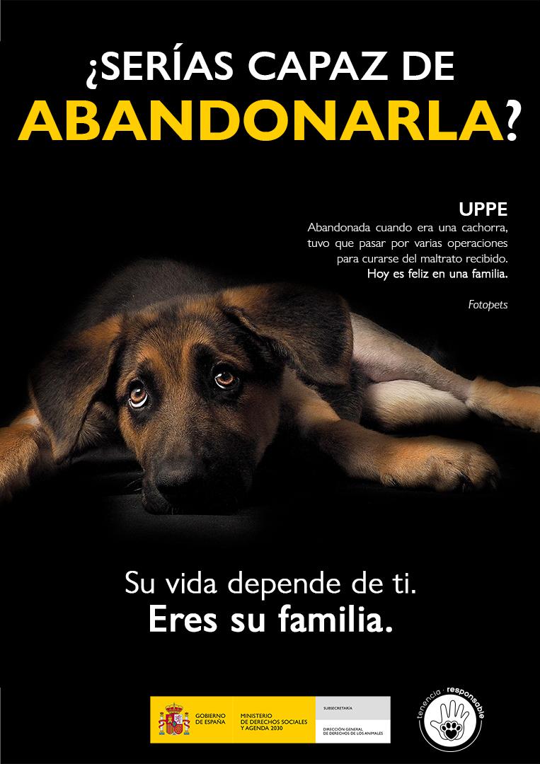 FAADA | Nueva campaña contra el abandono de animales Verano 2021 del  Ministerio