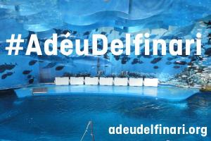 #AdéuDelfinari, necesitamos la complicidad de los ciudadanos para cerrar el delfinario de Barcelona