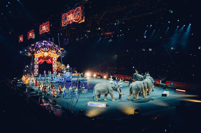 4 nuevos municipios libres de circos con animales!