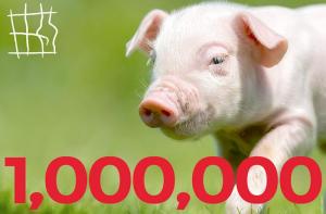 ¡Llegamos al millón de firmas! Hacemos historia para los animales “de granja”!
