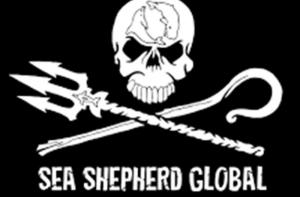 Canadá captura un barco de Sea Shepherd que protestaba contra la caza de focas