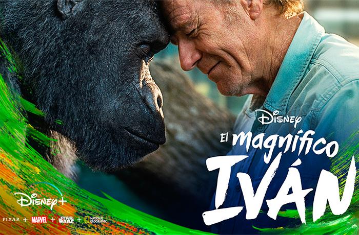 El Magnifico Ivn: nueva pelcula Disney libre de explotacin animal