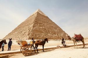 Egipto prohibirá los paseos en camellos y caballos en las pirámides