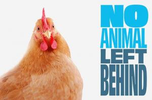 #NoAnimalLeftBehind: el 2021 puede marcar un antes y un después en la legislación europea sobre animales considerados de granja