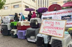 FAADA y AnimaNaturalis se unen para llevar Vivotecnia a los tribunales