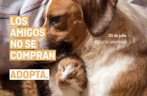 Los amigos NO se compran. Adopta: ¡Nuestra nueva campaña en las calles de Madrid!