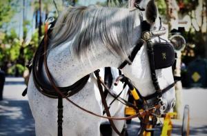 Varios desfallecimientos y un caballo muerto en la Feria de Abril de Sevilla