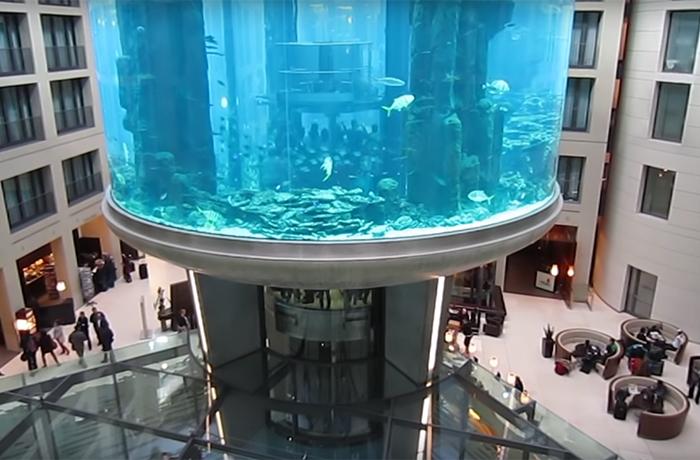 Revienta en un hotel de Berlín un enorme acuario cilíndrico con 1.500 peces