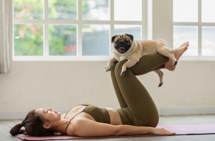 Puppy Yoga: una investigación desvela el maltrato detrás de la actividad tendencia en Instagram