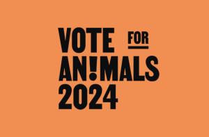 Las organizaciones animalistas nos unimos para situar el bienestar animal en el centro de las elecciones de la UE