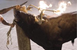 Empieza la ponencia en el Parlament de Catalunya para eliminar las fiestas más crueles con toros