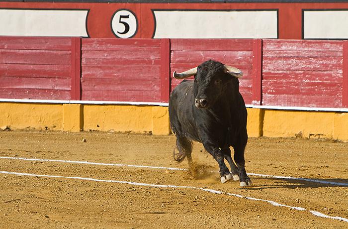 Raul Romeva pide retirar subvenciones europeas a las corridas de toros