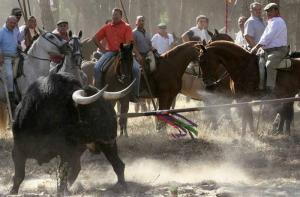 Joan Herrera solicita al gobierno la eliminación del toro alanceado