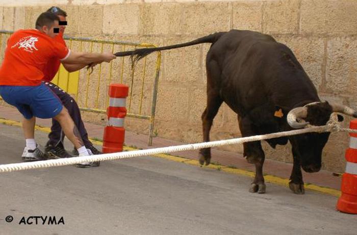 Extremadura prohbe los toros embolados