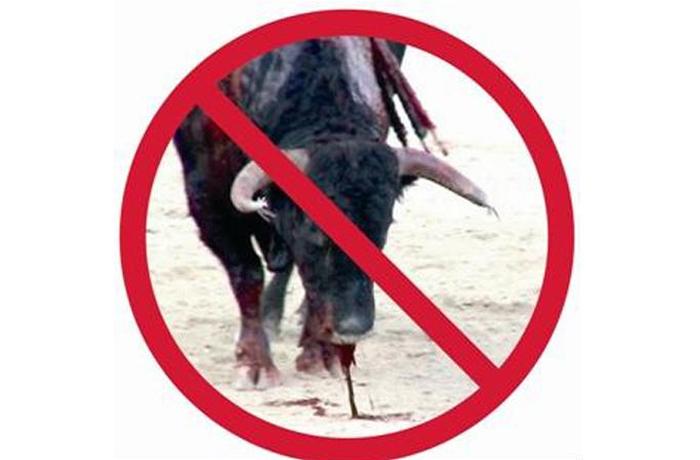 El Senado rechaza una mocin del PP para proteger los toros