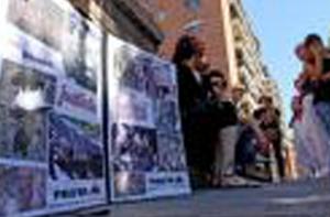 Condenados dos menores por matar y mutilar gatos de una protectora en Tarragona