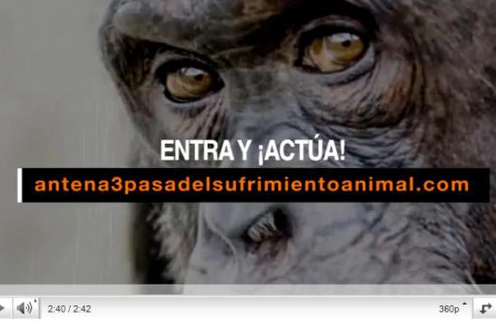 Entra, Acta, Difunde: Antena3PasaDelSufrimientoAnimal.com