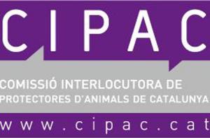 Finaliza la campaña de la CIPAC con 4.800 esterilizaciones de animales de compañía realizadas