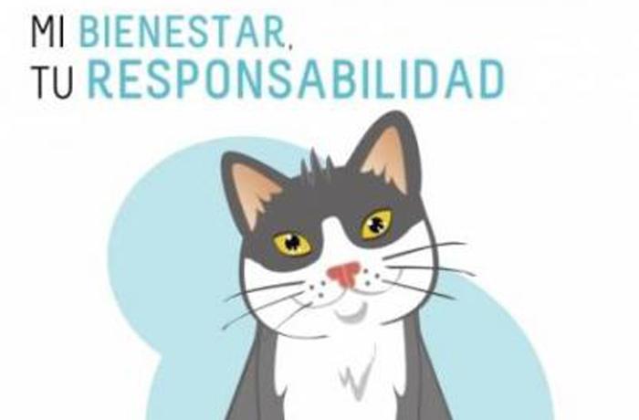 Campaña de tenencia responsable de gatos 