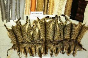 La pieles ilegales de animales intervenidas en el Mercado de los Encants eran de gato salvaje y serpiente