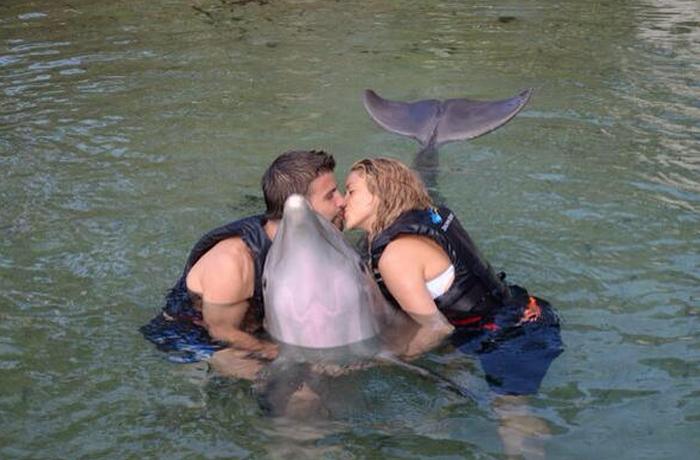 Shakira y Piqu reciben un alud de crticas por baarse con un delfn