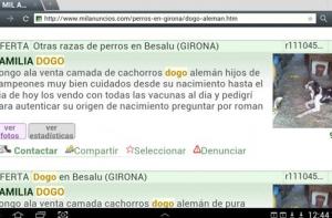 Sancin de 4.900 euros a un criador ilegal de perros de Girona a raz de una denuncia de FAADA