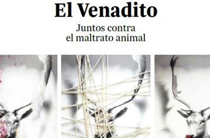 Inauguramos exposicin: FAADA  y SiNesTesia reunen a 40 artistas contra el maltrato animal