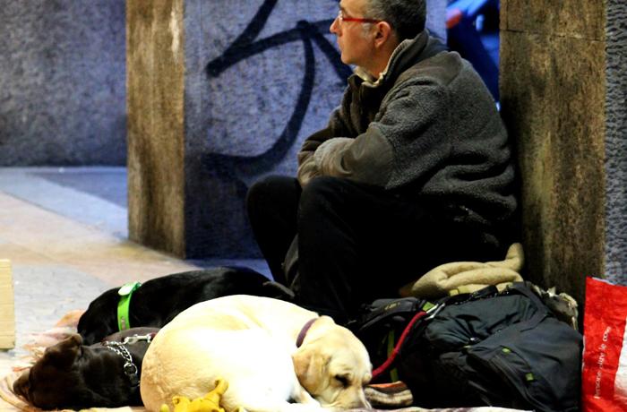 FAADA pone en marcha un proyecto para que se acepten animales en los albergues para personas sin hogar