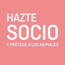 Hazte SOCIO/A